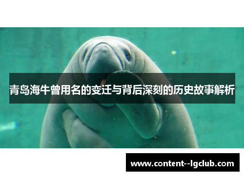 青岛海牛曾用名的变迁与背后深刻的历史故事解析 青岛海牛曾用名的变迁与背后深刻的历史故事解析